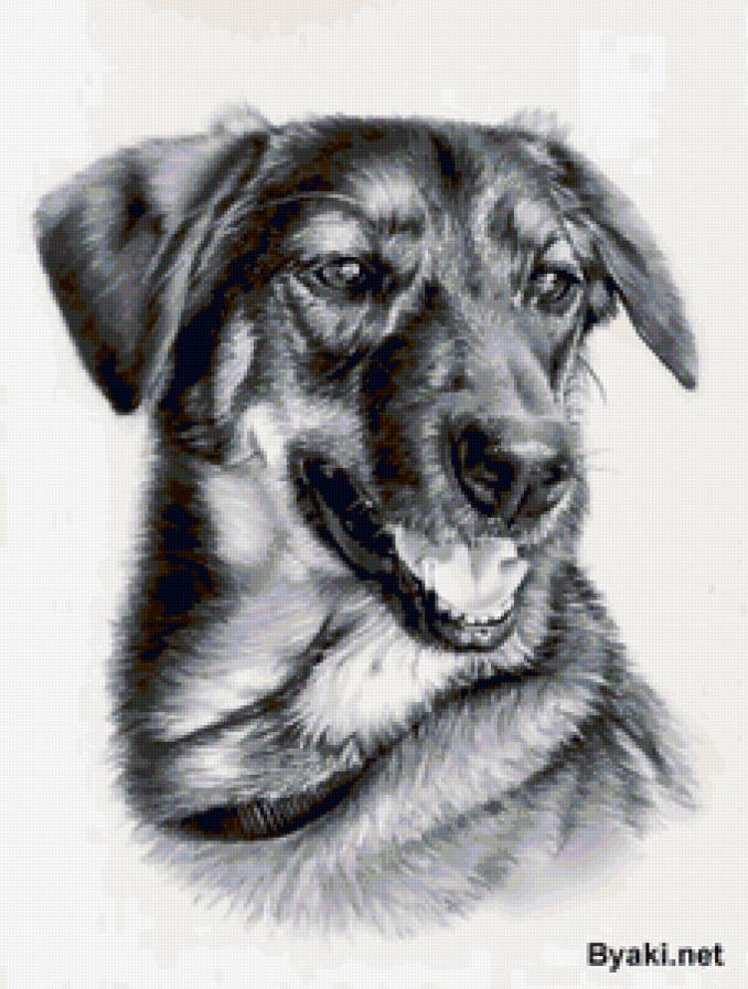 собачка - щенок, собака, животные - предпросмотр