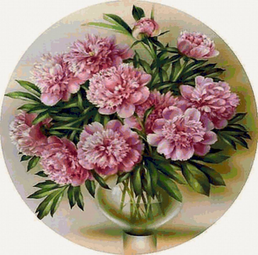 пионы - цветы - предпросмотр