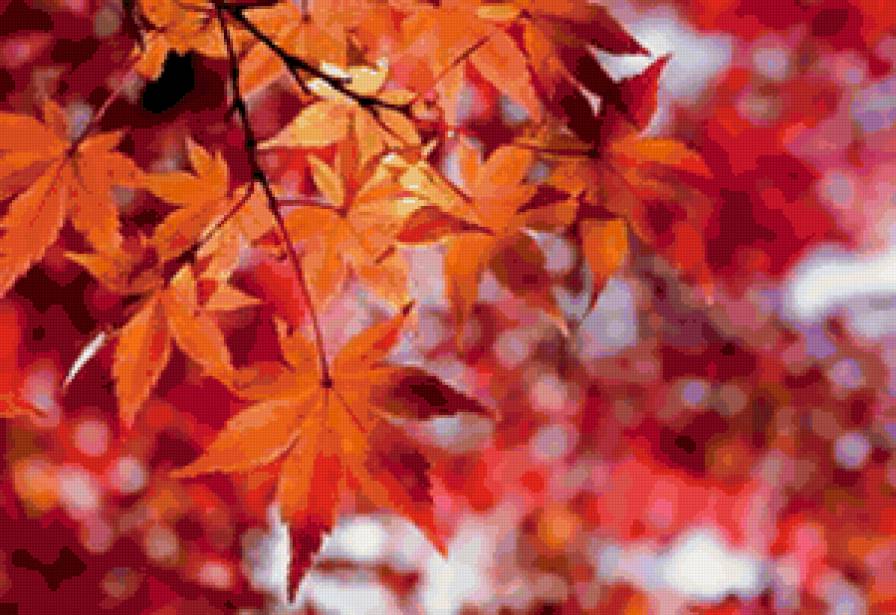 осенний пейзаж - осень, листья - предпросмотр