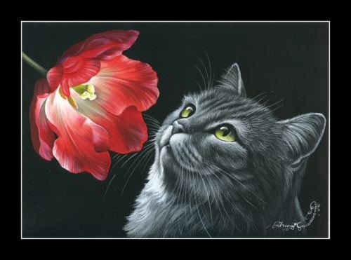 Кот и цветы - коты, живопись, цветы, животные, монохром - оригинал
