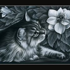 Оригинал схемы вышивки «Кот и цветы» (№29161)