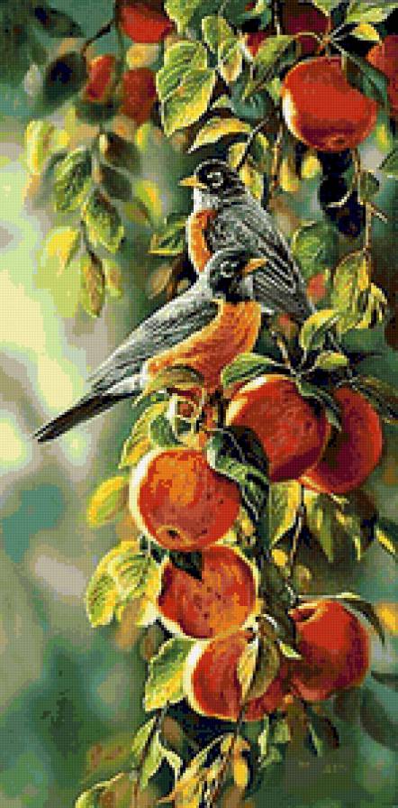 Птицы на яблоне - птицы - предпросмотр
