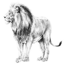 Оригинал схемы вышивки «лев» (№29462)