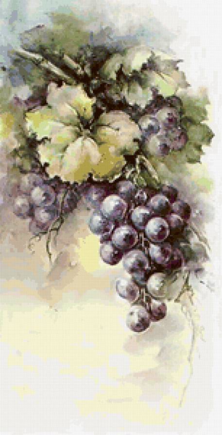 Виноград - живопись, фрукты - предпросмотр