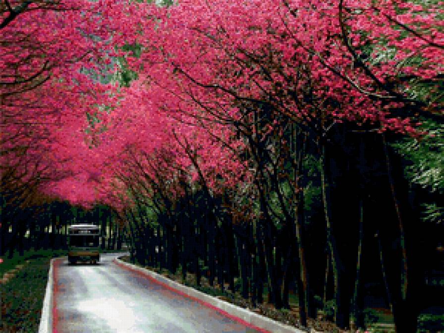 парк - природа, лес - предпросмотр