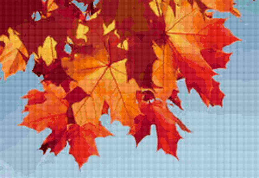 осенний листья - пейзаж, листья, осень - предпросмотр