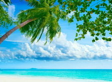 морской пейзаж