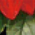 Предпросмотр схемы вышивки «цветок» (№30664)