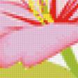 Предпросмотр схемы вышивки «цветы» (№30698)