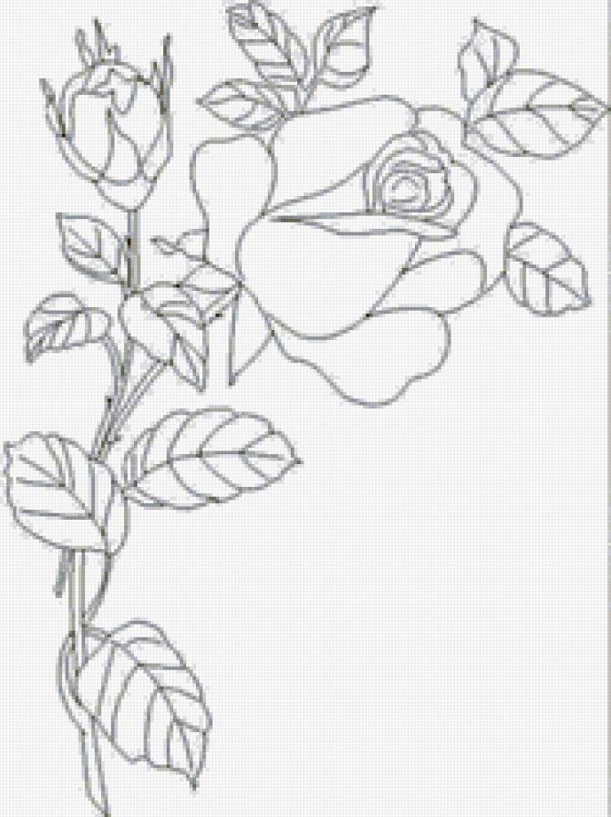 Рисунки для срисовки на лист а4. Цветы. Раскраска. Рисунки цветов для раскрашивания. Цветы картинки раскраски. Раскраска букет роз.