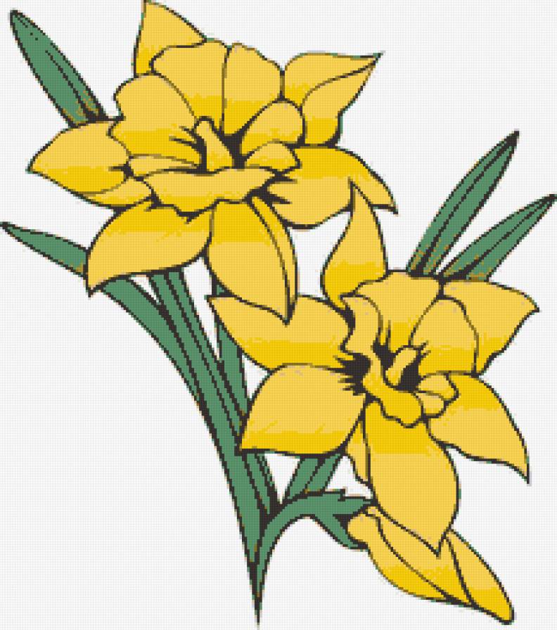 цветы - букет, натюрморт, цветы, природа - предпросмотр