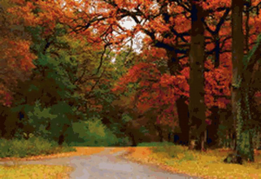 осенний пейзаж - деревья, парк, лес, осень - предпросмотр