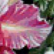 Предпросмотр схемы вышивки «цветы и колибри» (№31050)