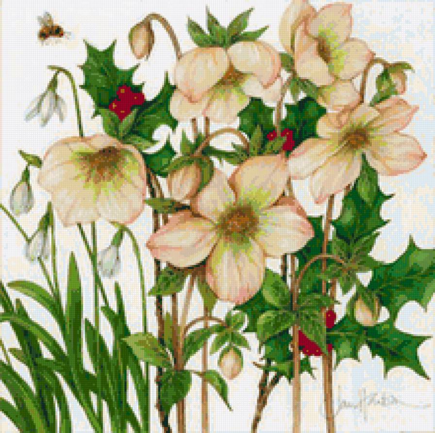 №31057 - предпросмотр