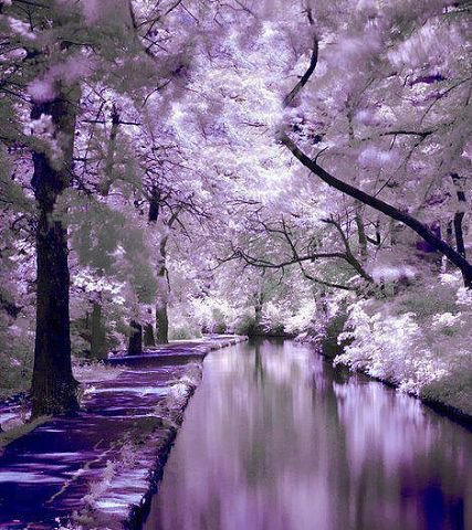 зима - оригинал