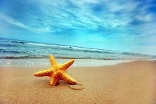 морской пейзаж - морская звезда, море, пейзаж - оригинал