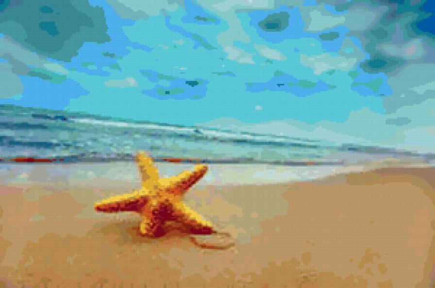 морской пейзаж - морская звезда, море, пейзаж - предпросмотр