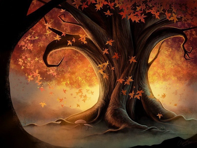 Волшебный лес - лес, листья, дерево, осень фэнтези, свет, волшебный лес - оригинал