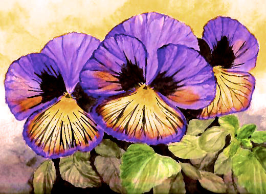 Variant 4 - cvety - оригинал