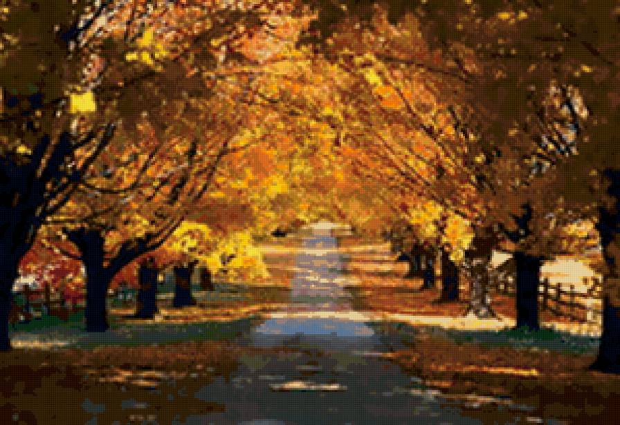золотая осень - парк, природа, лес, осень, деревья - предпросмотр