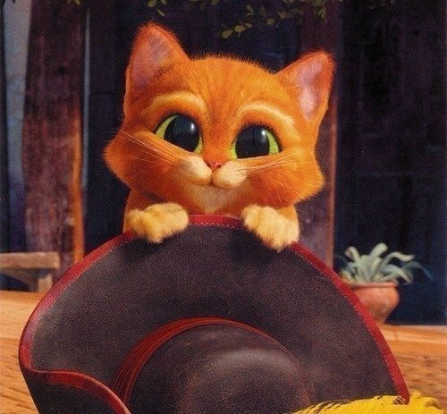 Котя - оригинал