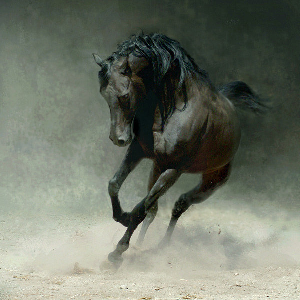 №32022 - конь, лошадь - оригинал