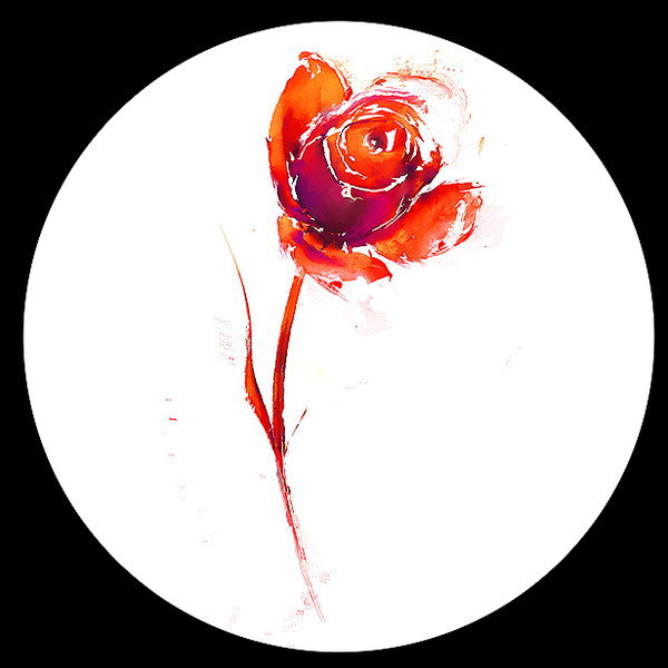 №32090 - роза, цветы - оригинал