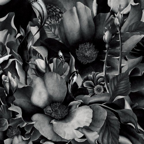 №32091 - черно-белое, монохром, цветы, розы, подушка - оригинал