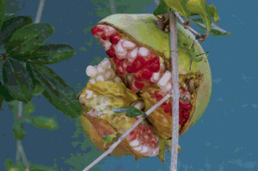 гранат - гранат - предпросмотр