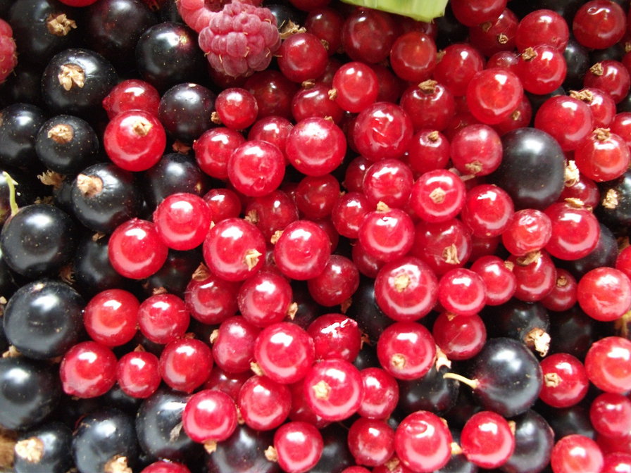 ягоды - лето, яоды - оригинал