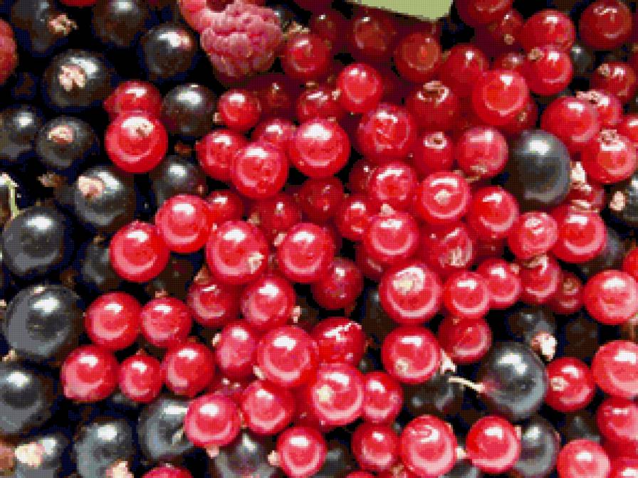 ягоды - яоды, лето - предпросмотр