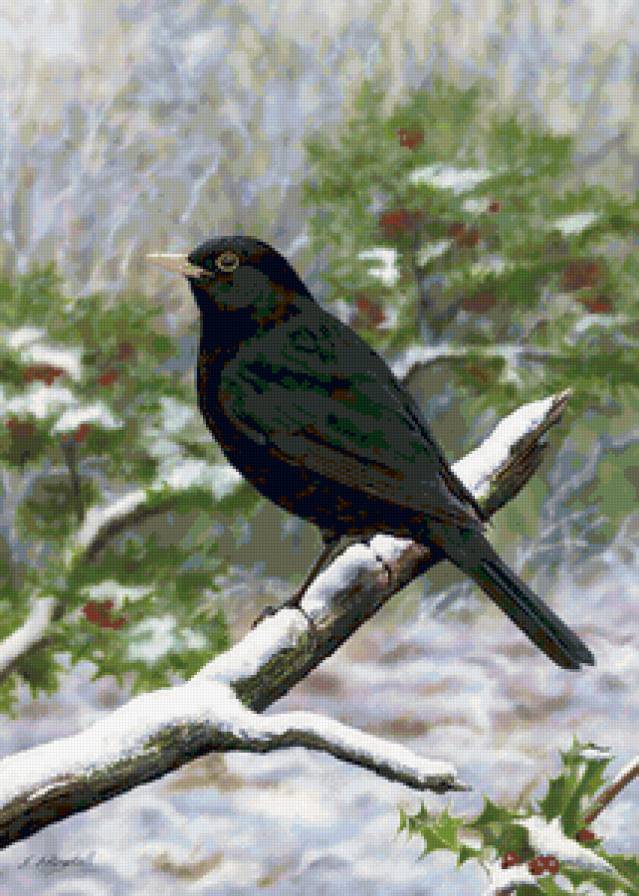 Серия "Птицы" - пейзаж, птицы, ворон, зима - предпросмотр