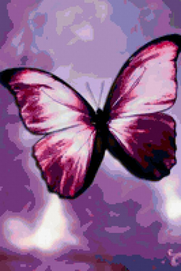 бабочка - бабочка - предпросмотр
