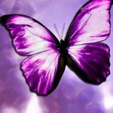 Схема вышивки «бабочка»