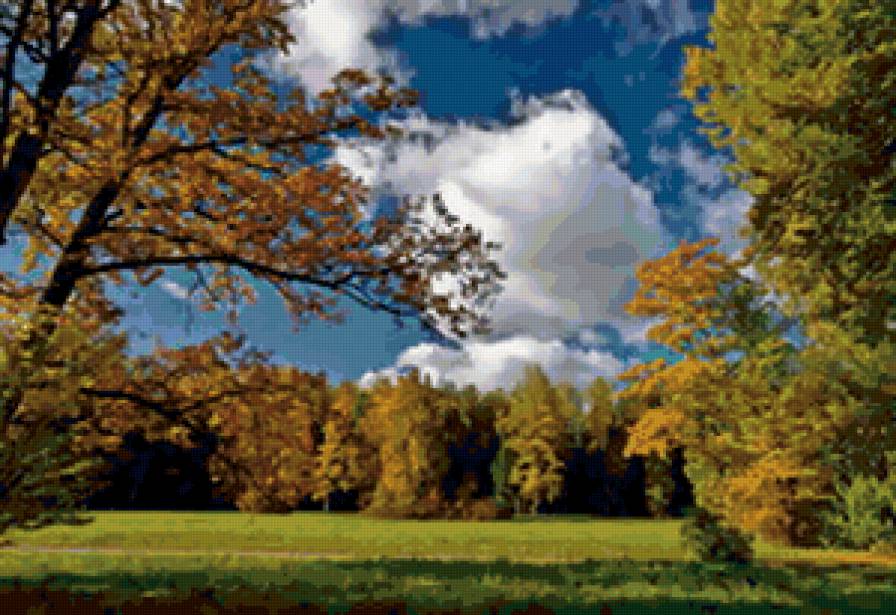 пейзаж - лес, природа, пейзаж, деревья - предпросмотр