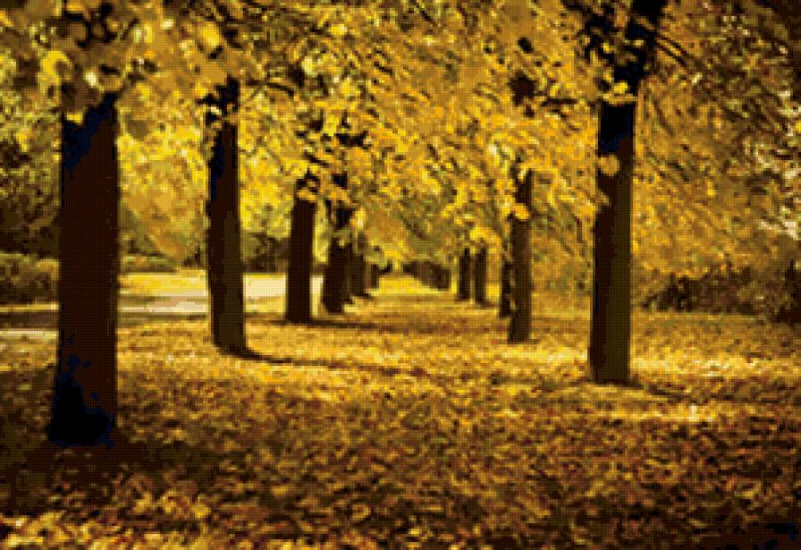осенний пейзаж - природа, деревья, пейзаж, осень, лес - предпросмотр