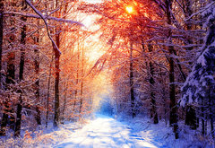 зимний пейзаж - пейзаж, вечер, зима, лес - оригинал