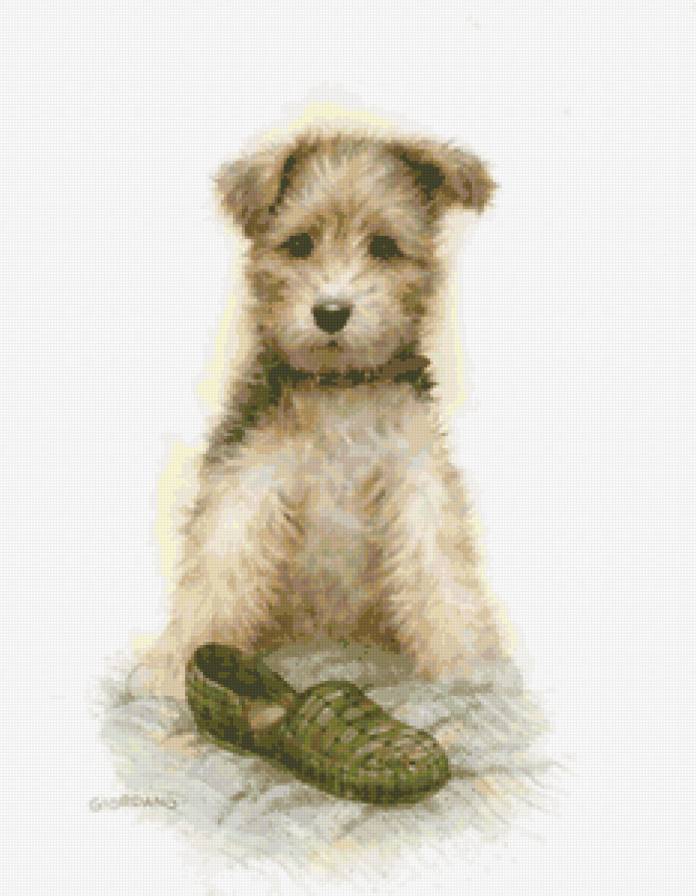 Собака - тапка, пес, собака, обувь, тапки - предпросмотр