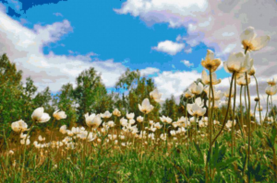 №33780 - предпросмотр