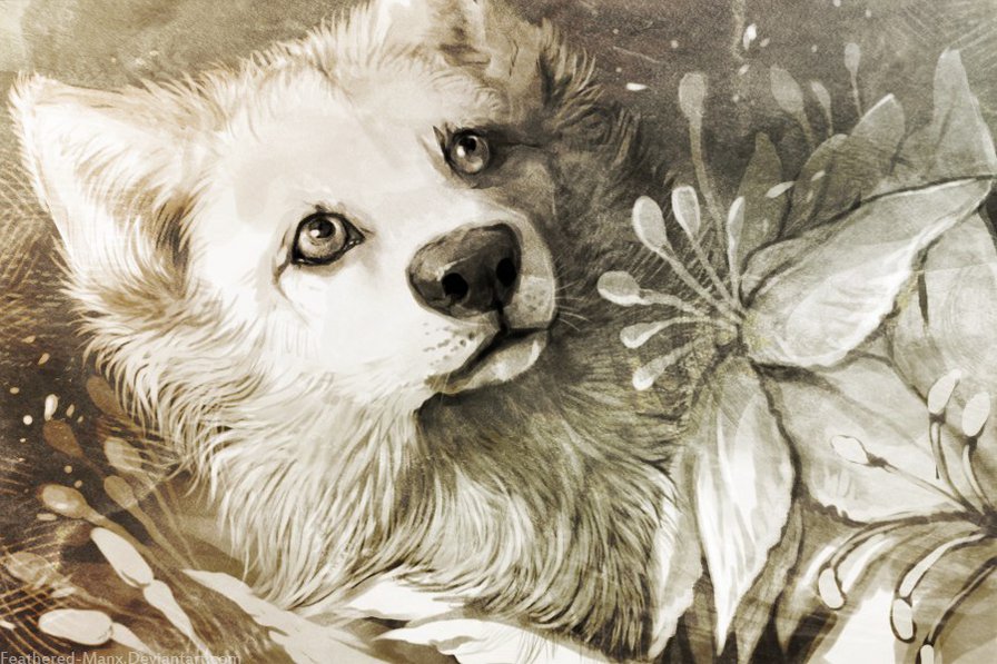 Пес и цветок - собака, цветок, лилия, пес - оригинал