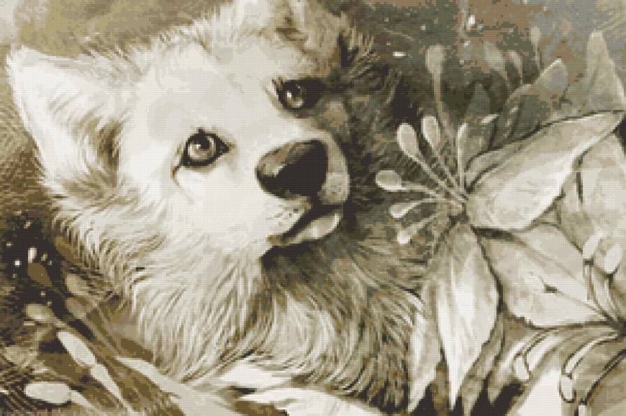 Пес и цветок - цветок, собака, пес, лилия - предпросмотр
