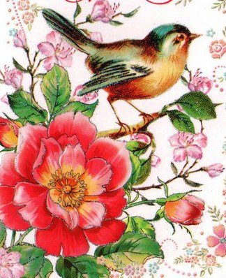 Весенняя птичка - цветы, дерево, детские сюжеты, весна, птенчики, птица, птицы - оригинал