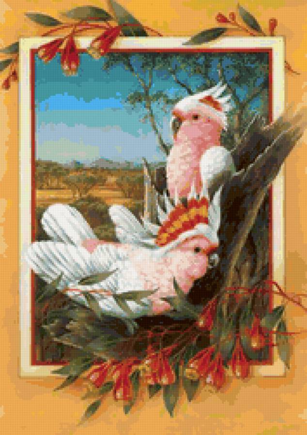 птицы - птицы - предпросмотр