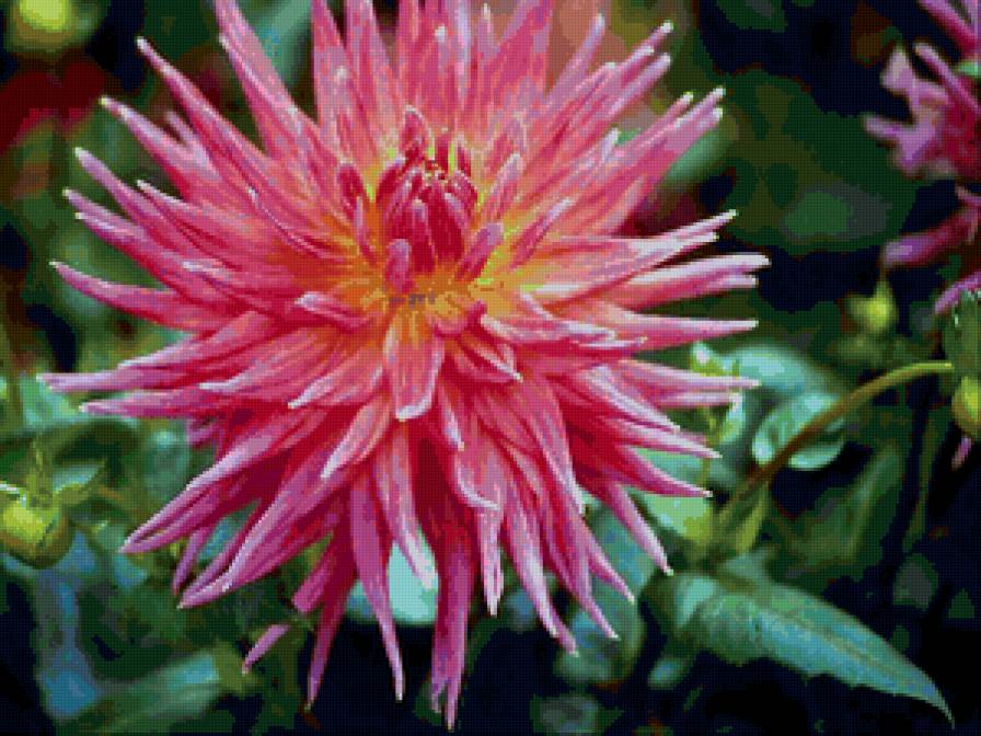 цветок - цветок, цветы - предпросмотр