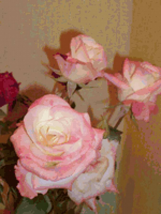 Роза "Принцесса Монако" - розы, цветы - предпросмотр