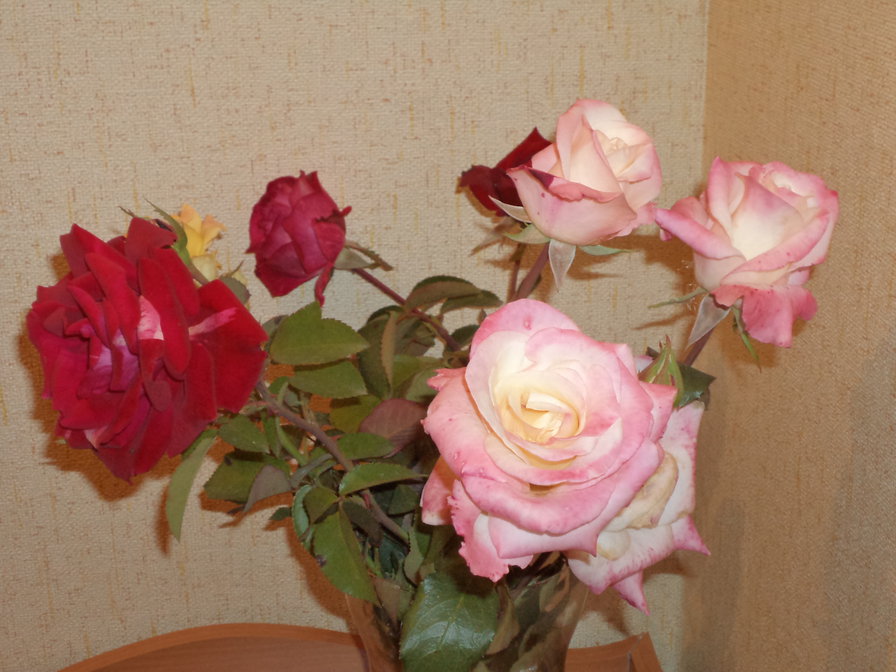 Красавицы розы - розы, цветы - оригинал