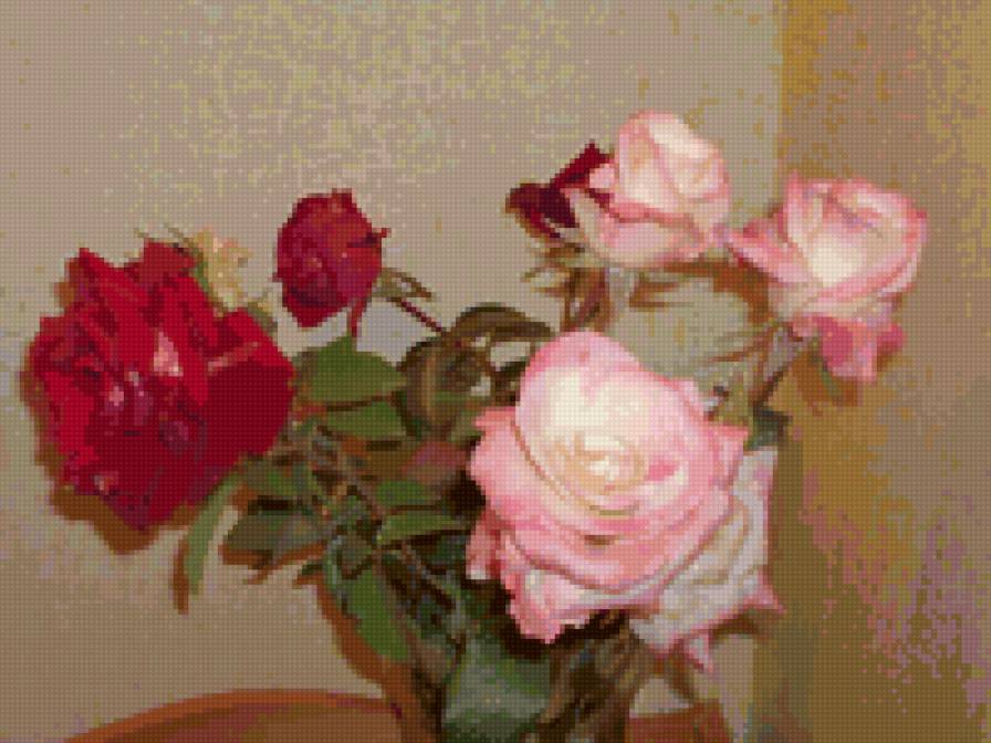 Красавицы розы - розы, цветы - предпросмотр