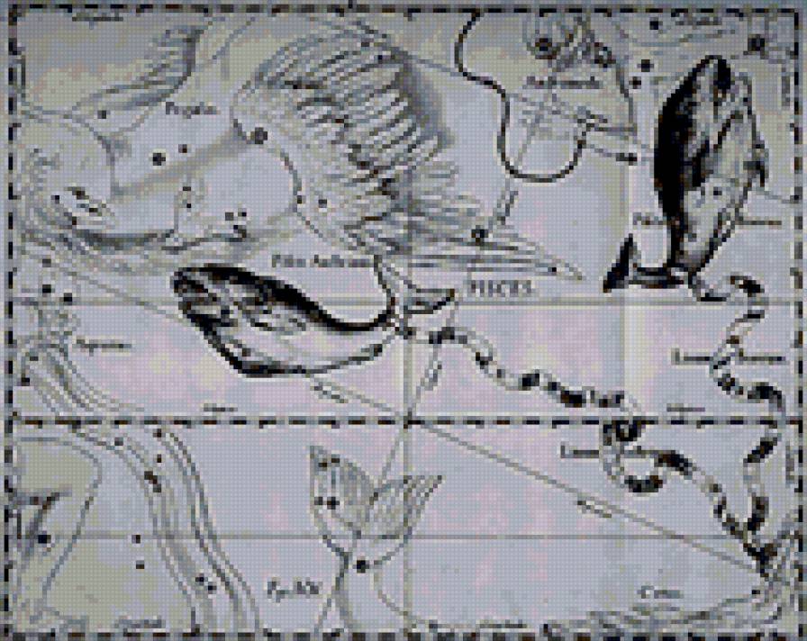 рыбы - черно-белое, монохром, знаки зодиака - предпросмотр