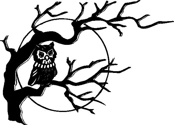 Совушкка - черно-белое, дерево, птица, природа - оригинал