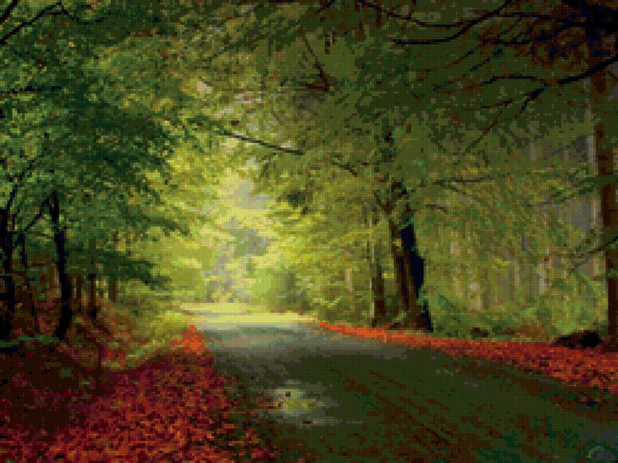 Лес - природа, дорога, осень, лес - предпросмотр